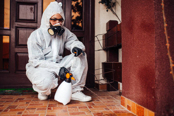 Attic and Crawl Space Rodent Treatment in Dixon